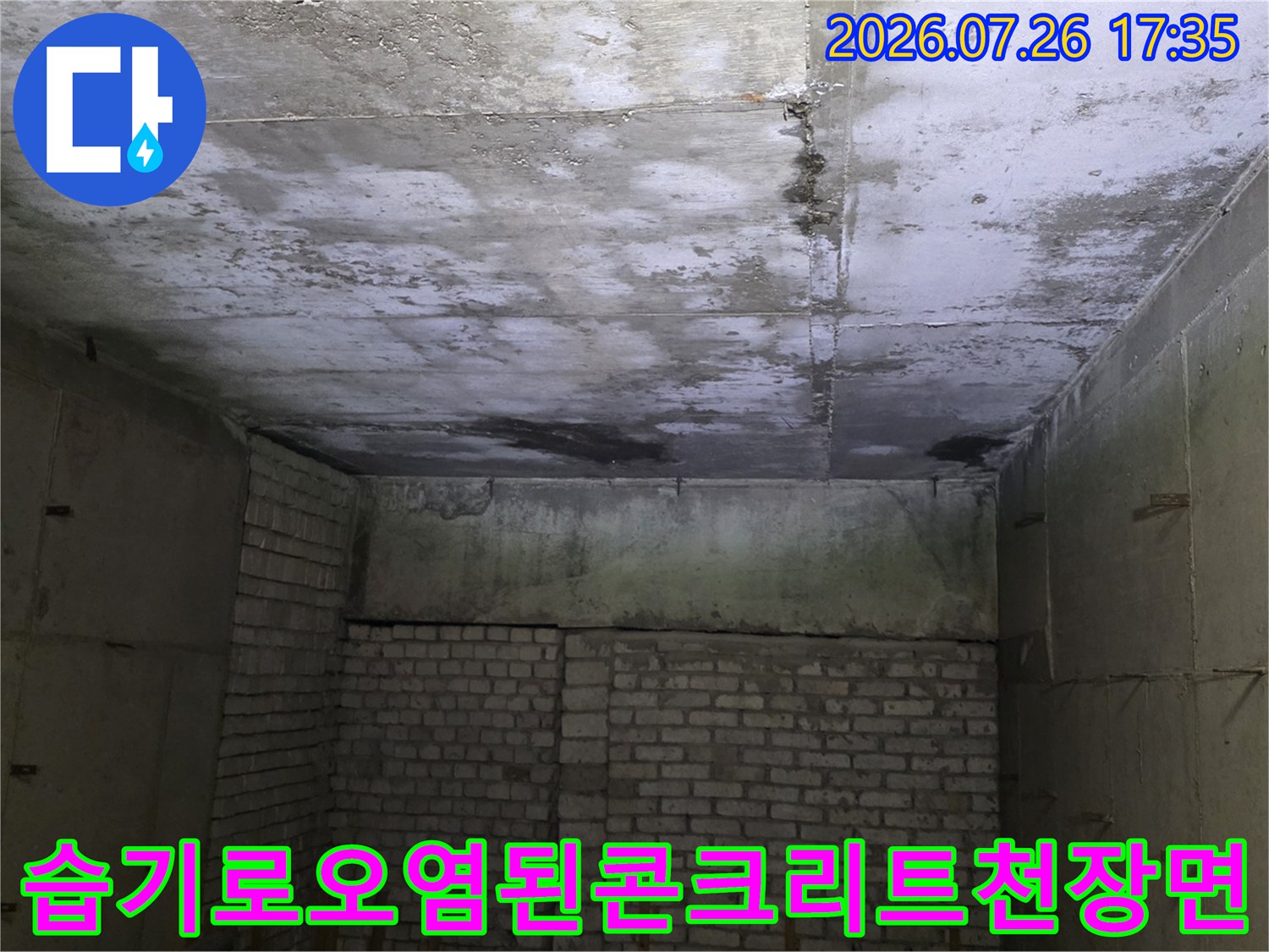 회색 콘크리트 천장에 누수로 인해 발생한 어두운 색의 곰팡이와 물 얼룩들이 넓게 분포된 사진