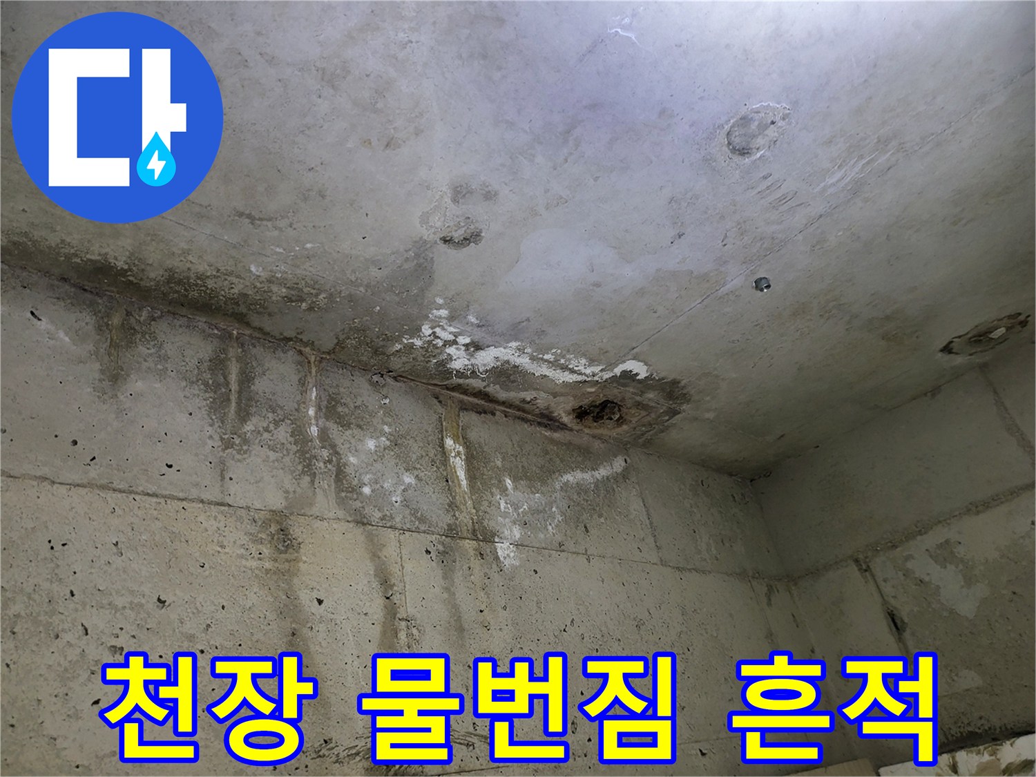 부천 중동 화장실-천장에 발생한 물번짐과 곰팡이 흔적