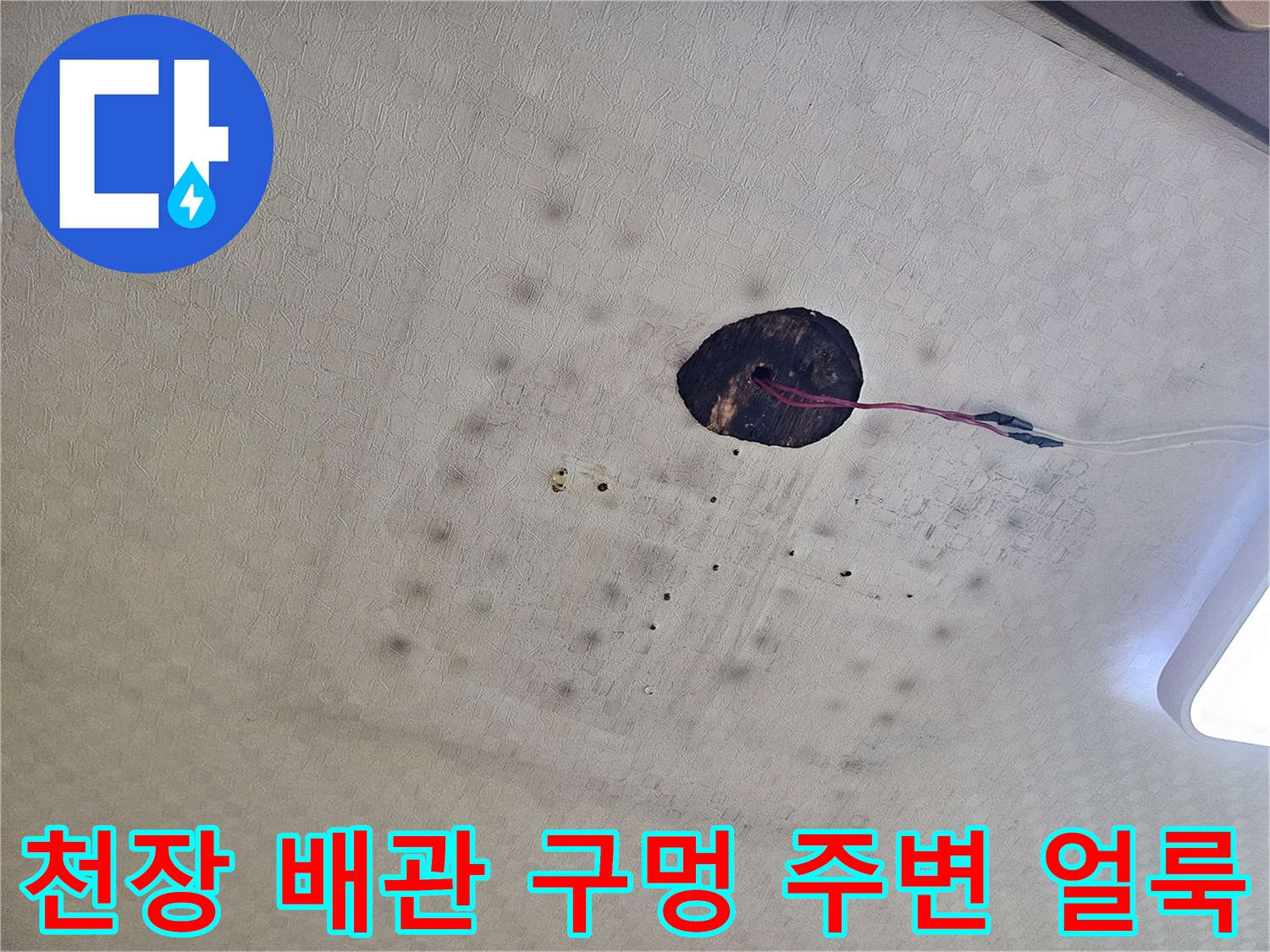 배관-통로-주변의-축축한-물자국과-오염된-텍스