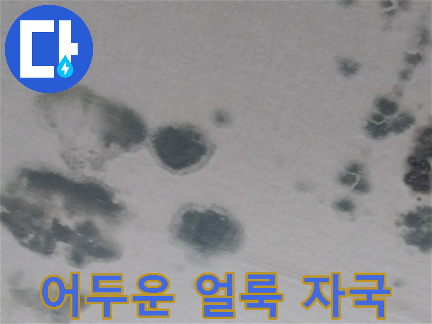 거실 천장 벽지에 넓게 퍼진 누수 및 곰팡이 흔적