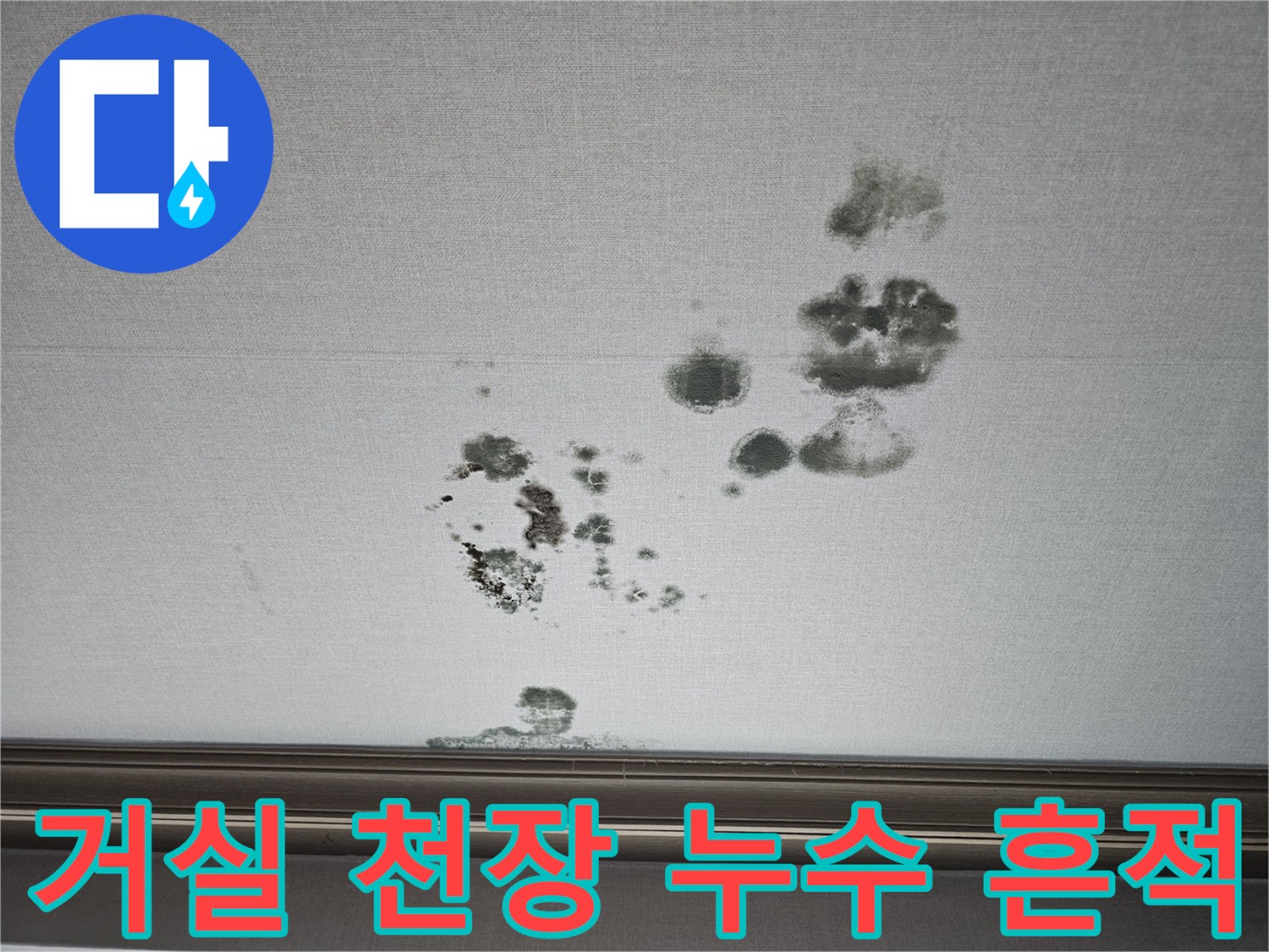 동탄 상가주택-천장 벽지 면에 나타난 불규칙한 형태의 곰팡이와 물자국