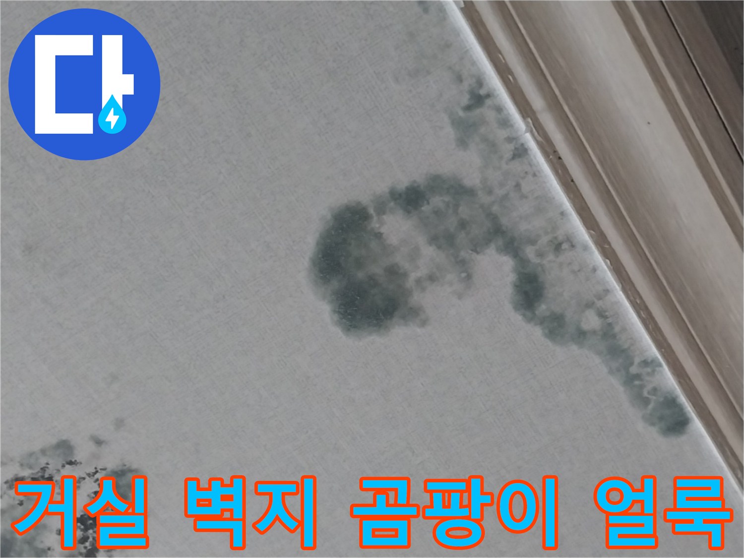 상가주택 거실 천장 벽지에 넓게 분포된 곰팡이 및 습기 흔적