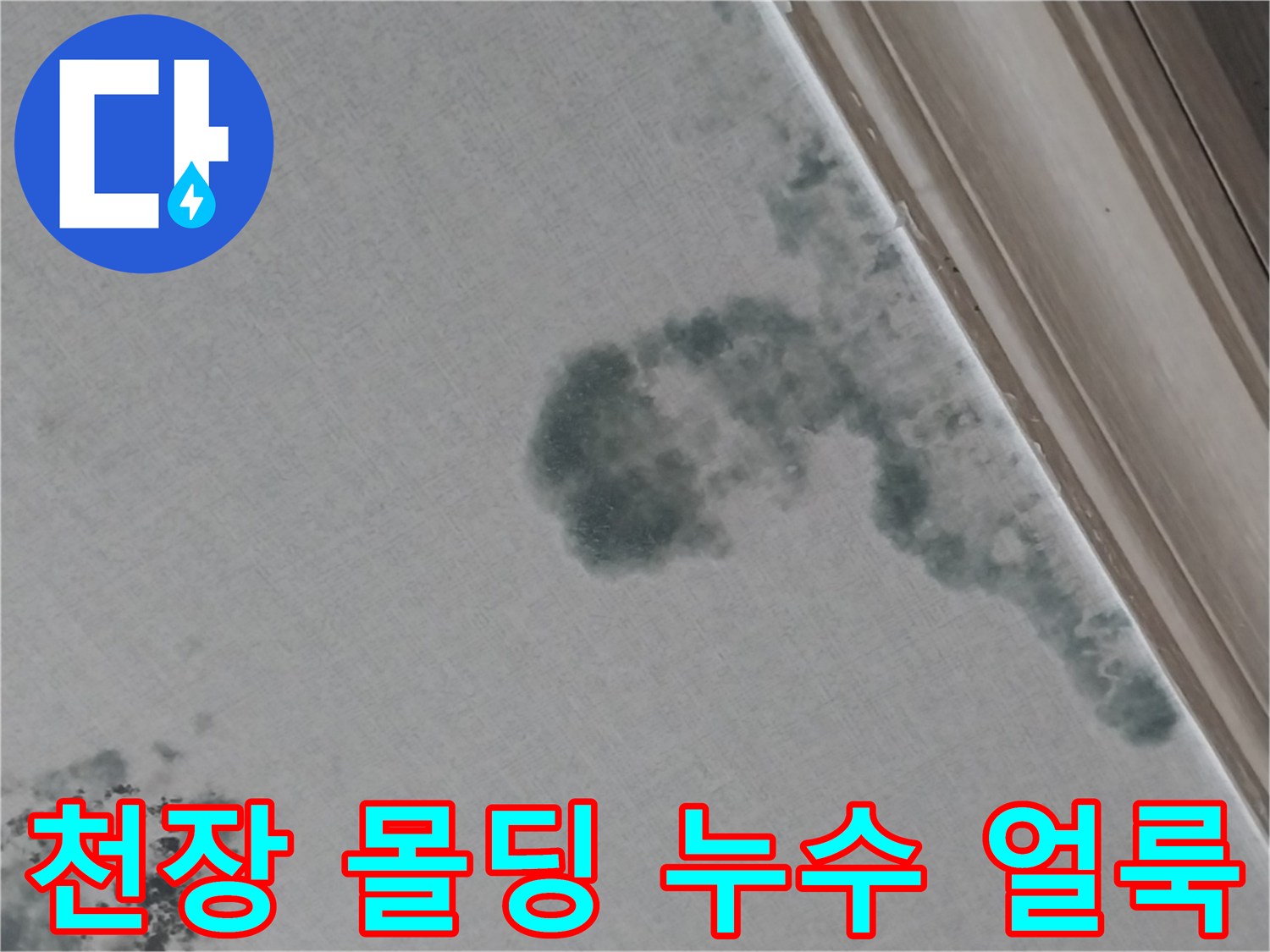 천장 몰딩과 벽지 경계면에 나타난 짙은 색의 누수 오염 부위