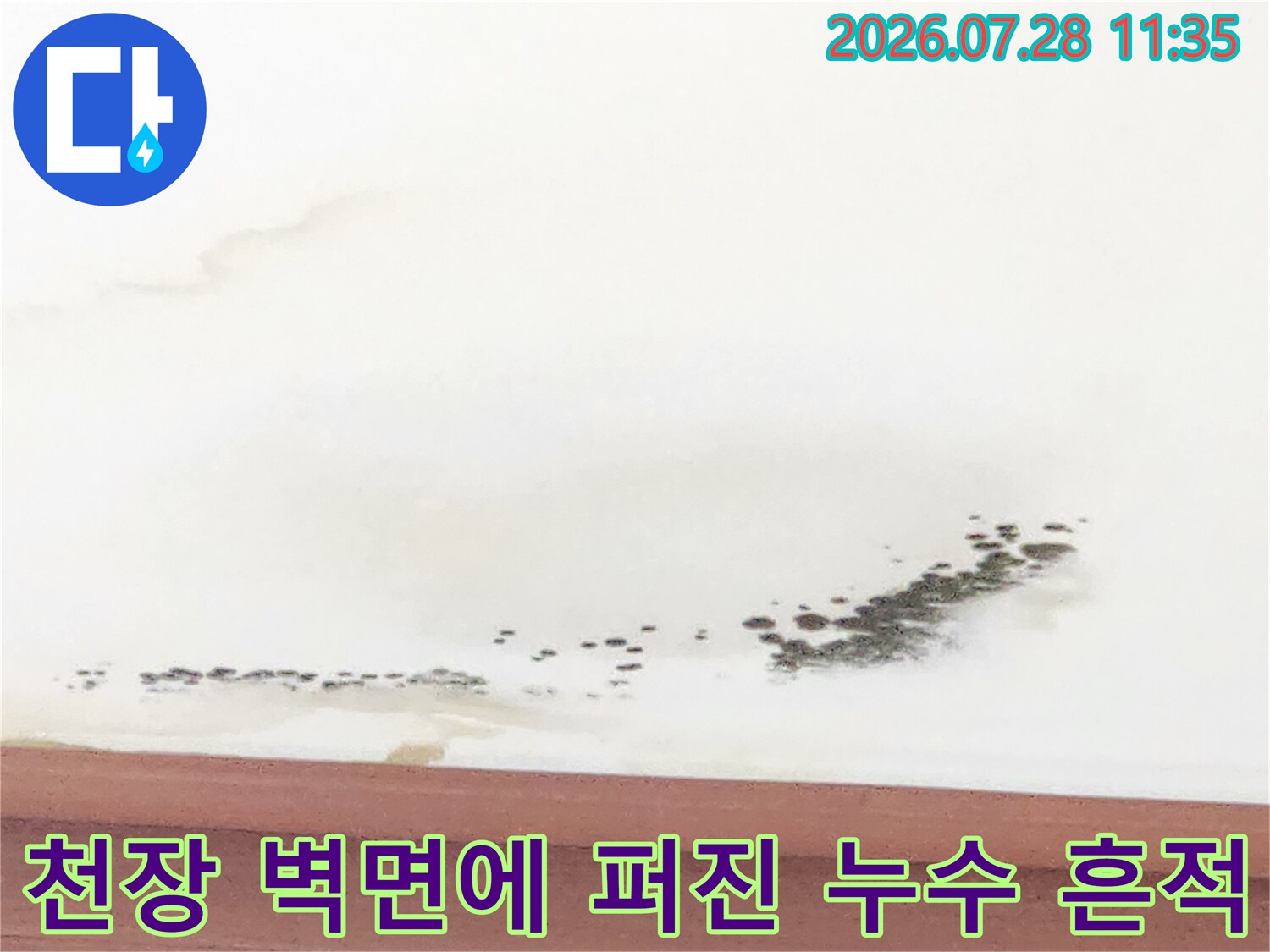 거실 천장과 벽면 경계에 발생한 짙은 색의 누수 오염부