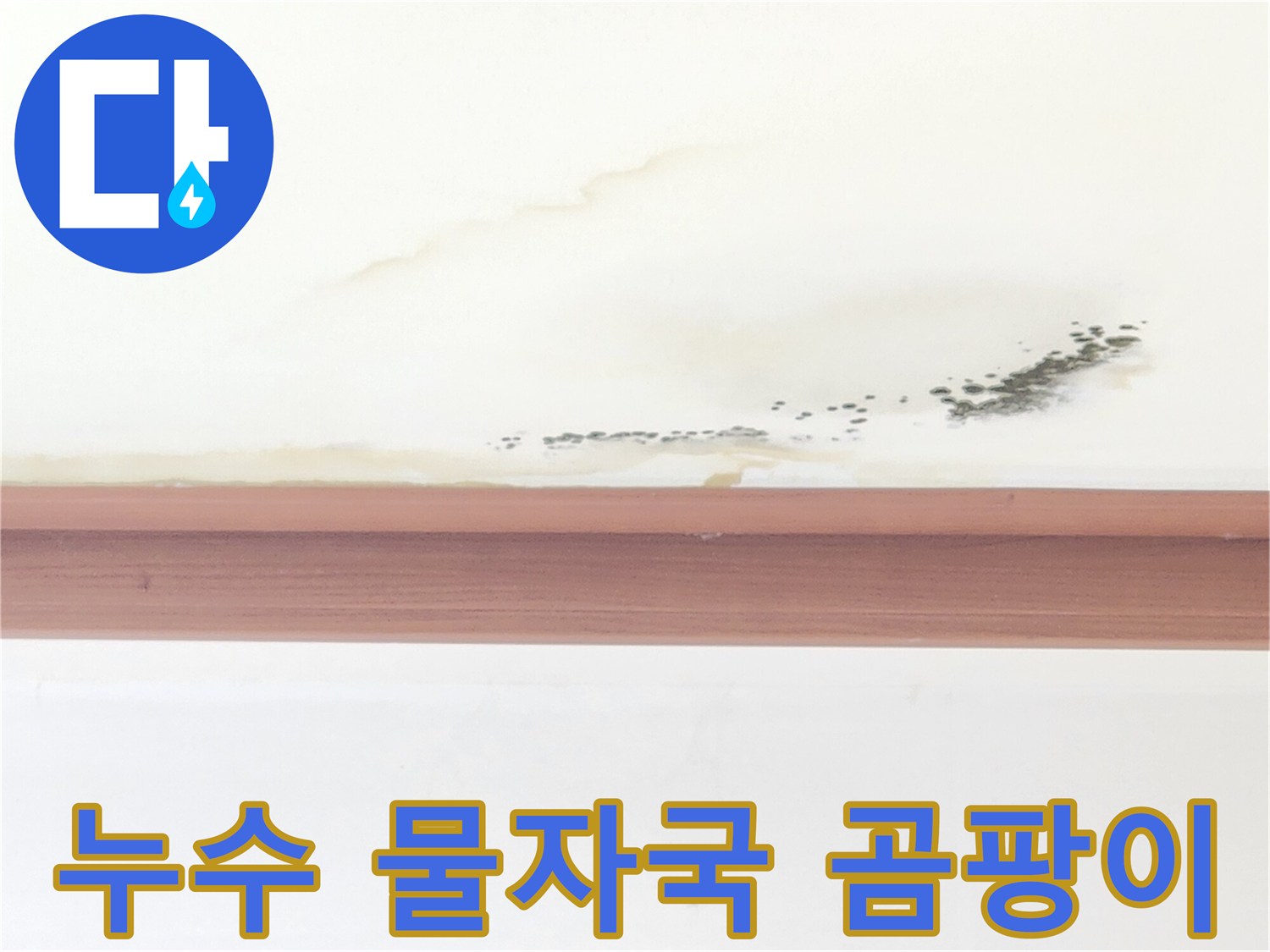 천장 벽지에 나타난 누런 침수 흔적과 검은 곰팡이 부위