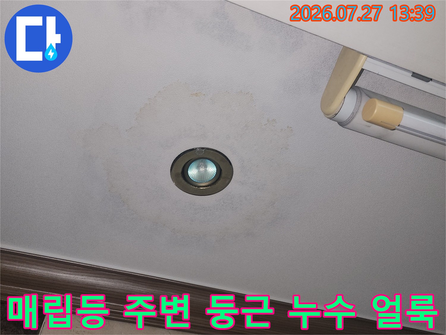천장 매립 조명 주위로 물이 스며들어 발생한 젖은 자국-사진