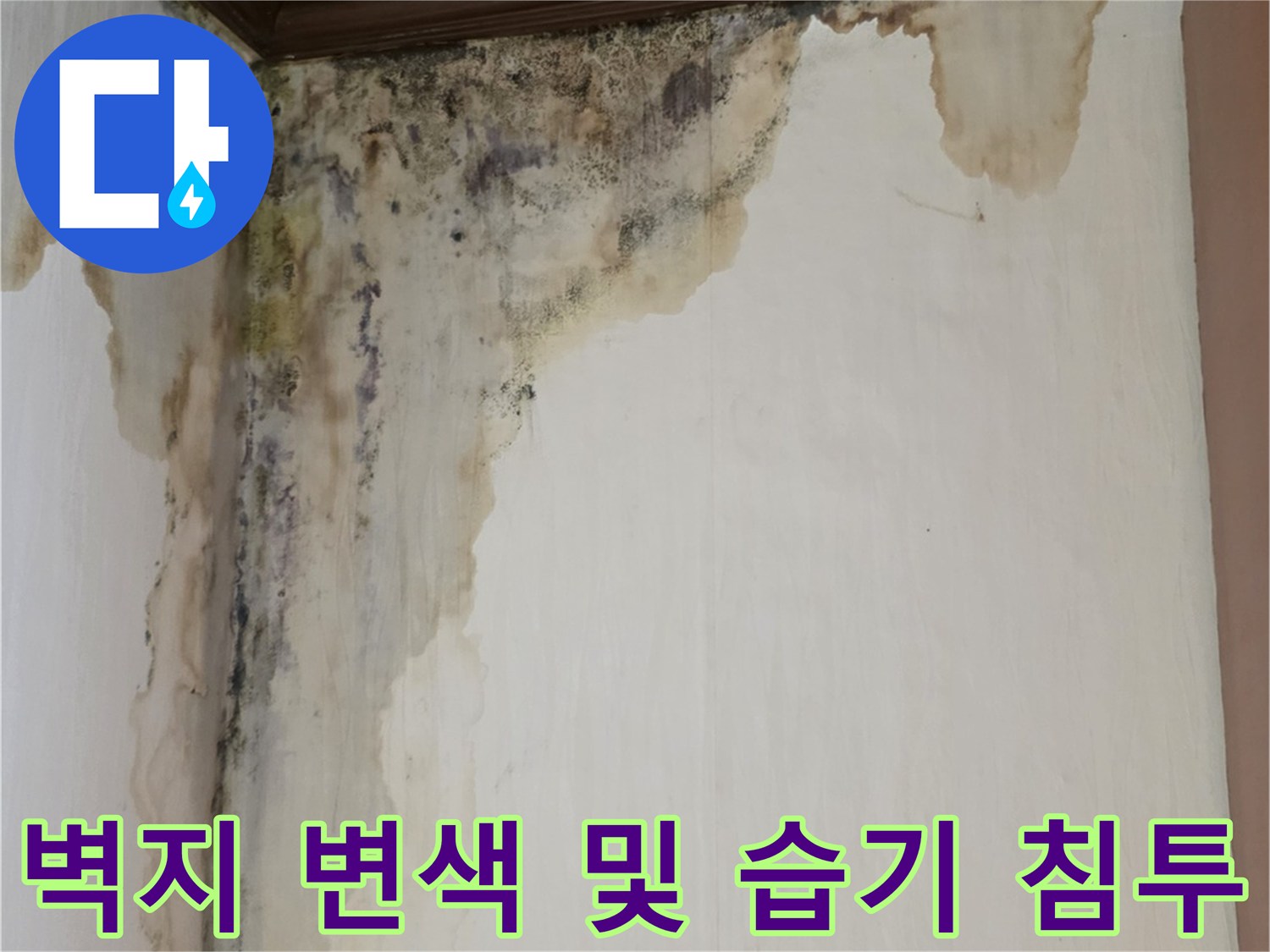 물기가 스며들어 벽지가 젖고 검게 변한 벽면 상단 모습