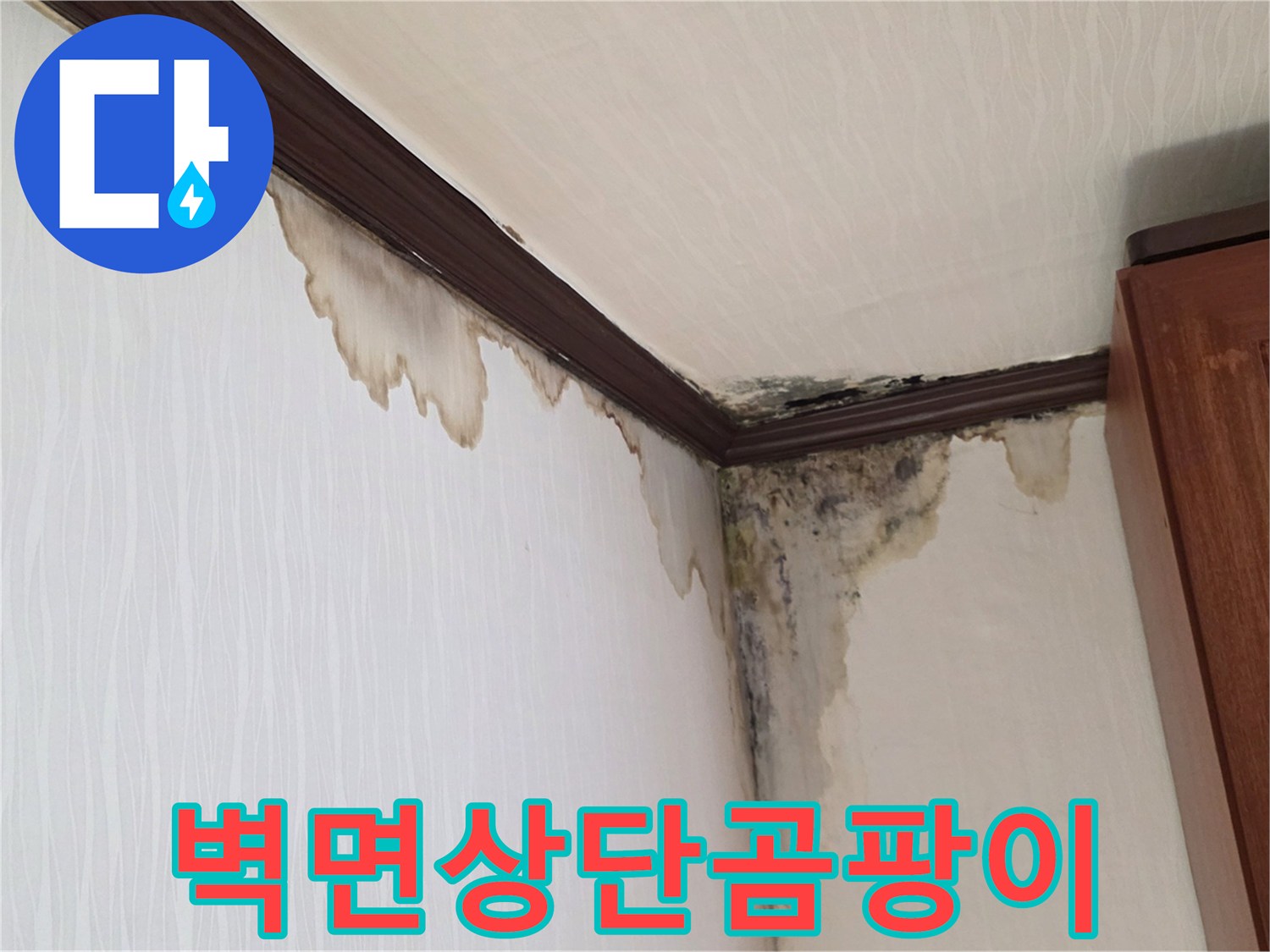 벽면-상단부의-심한-누수-오염과-검은-곰팡이