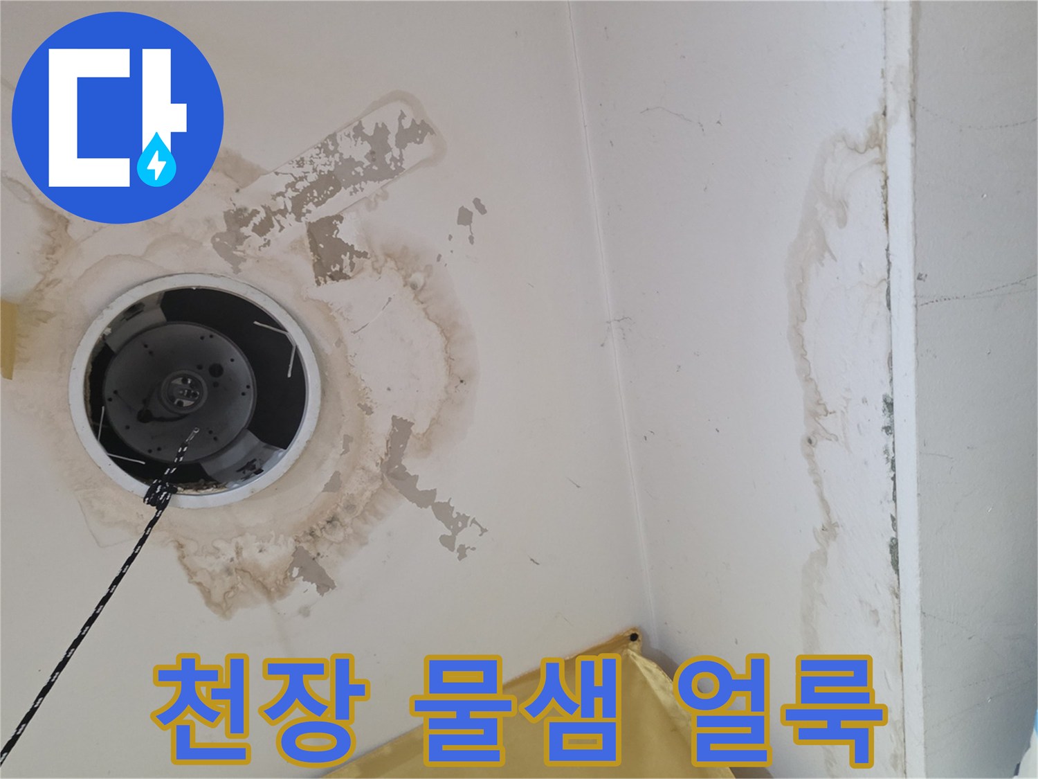 상가주택-1층-천장-누수-오염-부위