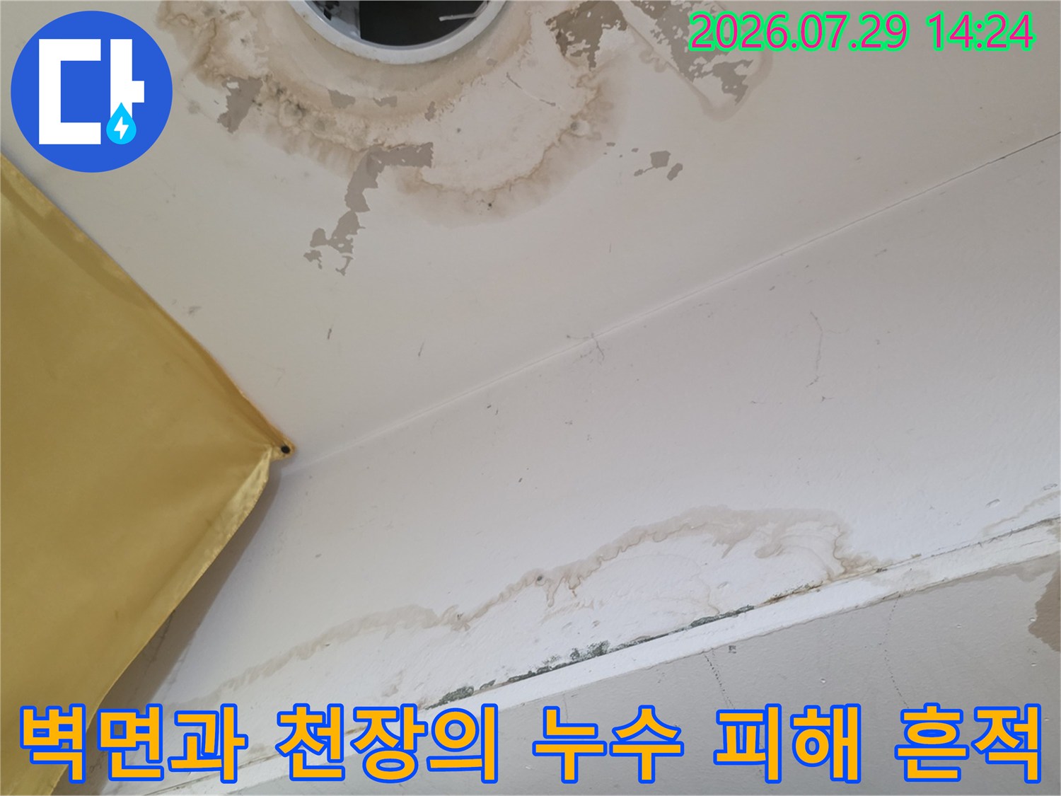 천장 벽체 경계 부위의 물자국 및 습기 침투 현상