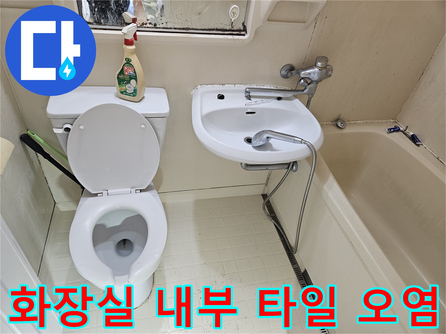 세면대 하부와 변기 주변 벽면의 곰팡이 및 얼룩