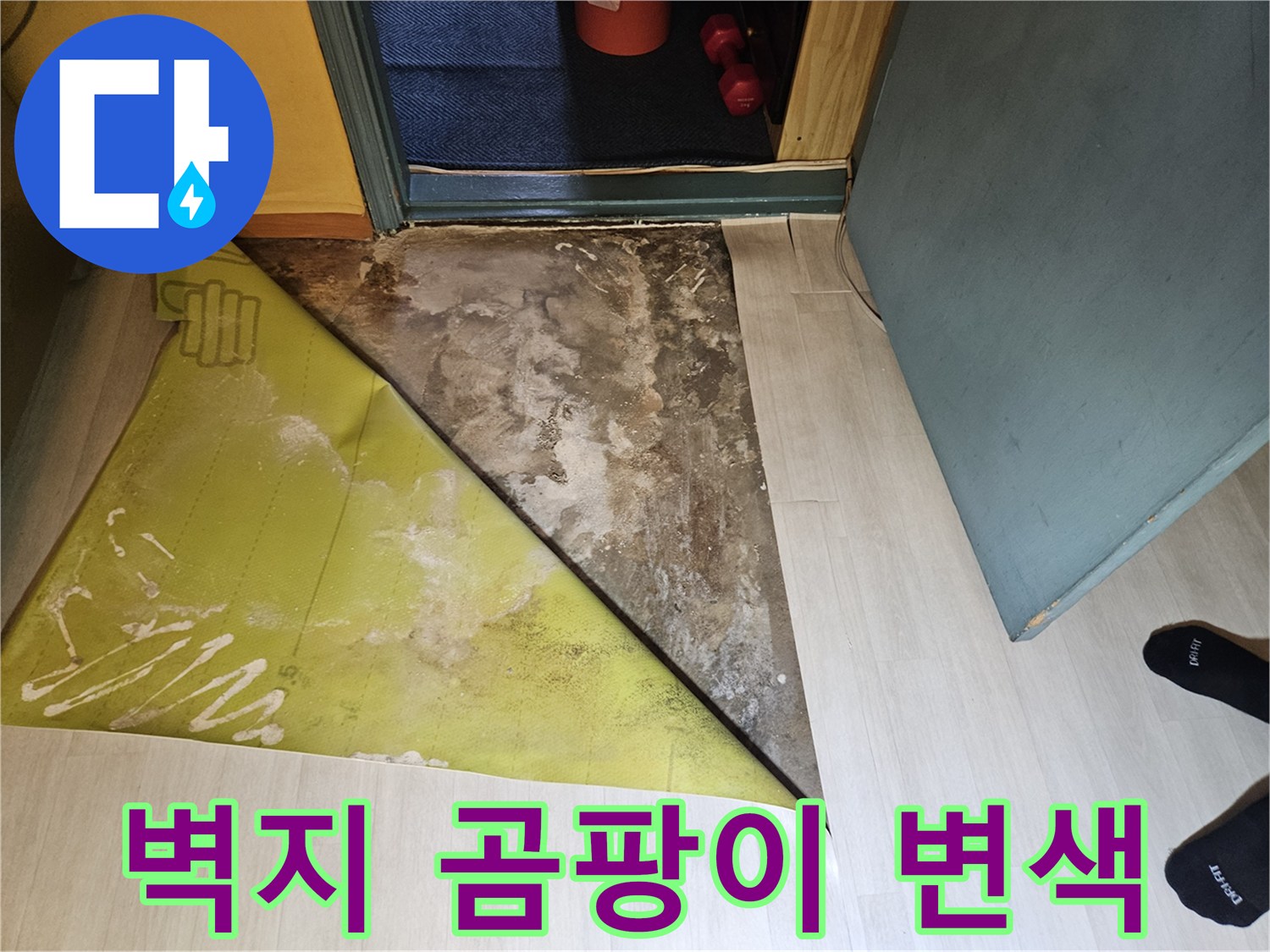 벽지 안쪽의 심한 곰팡이와 물자국 현상