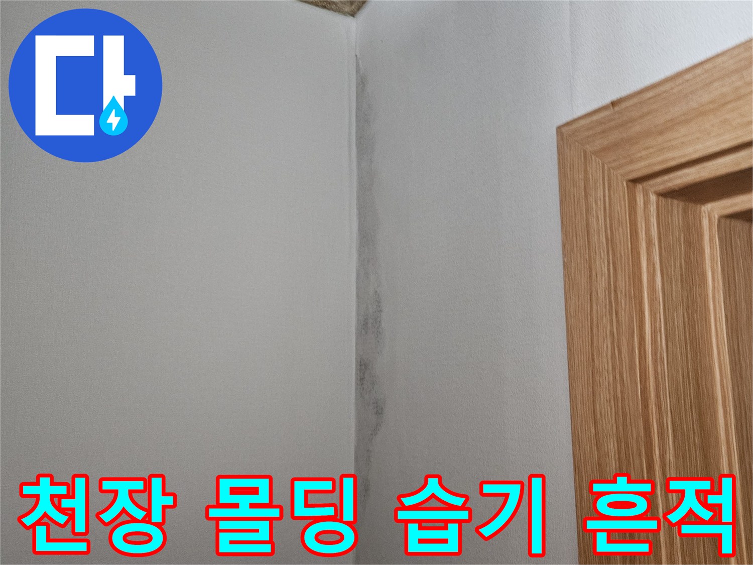 화곡동 천장 벽면-물샘으로 인한 곰팡이와 변색 부위