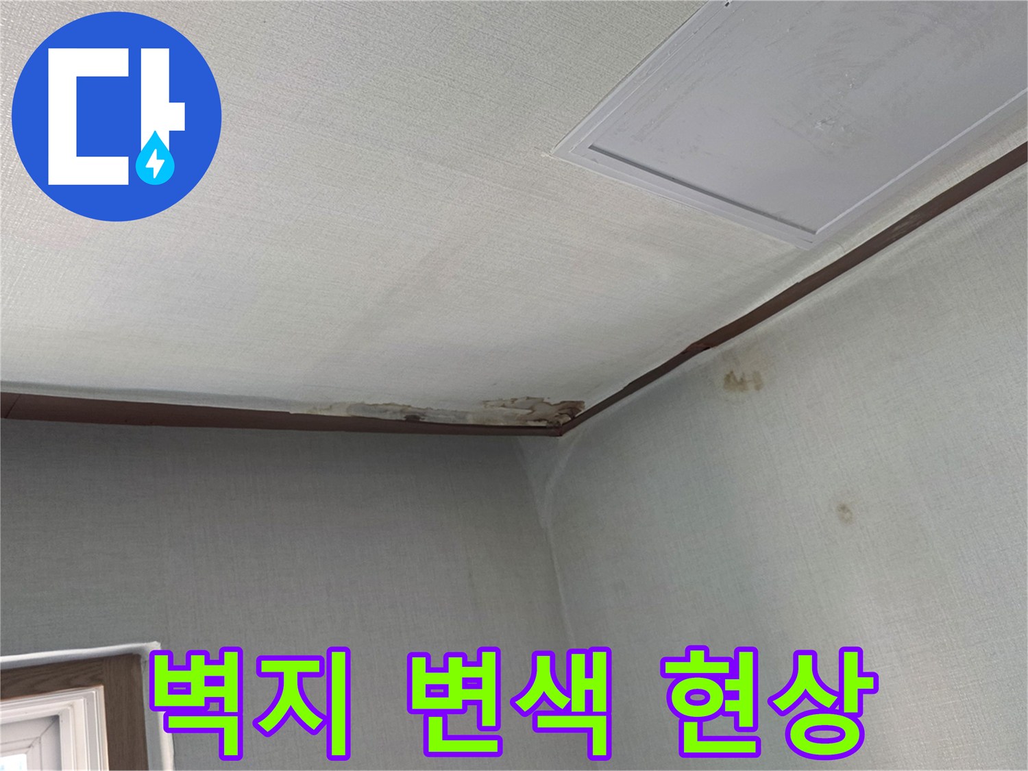 천장과 벽면 경계의 어두운 얼룩 부위