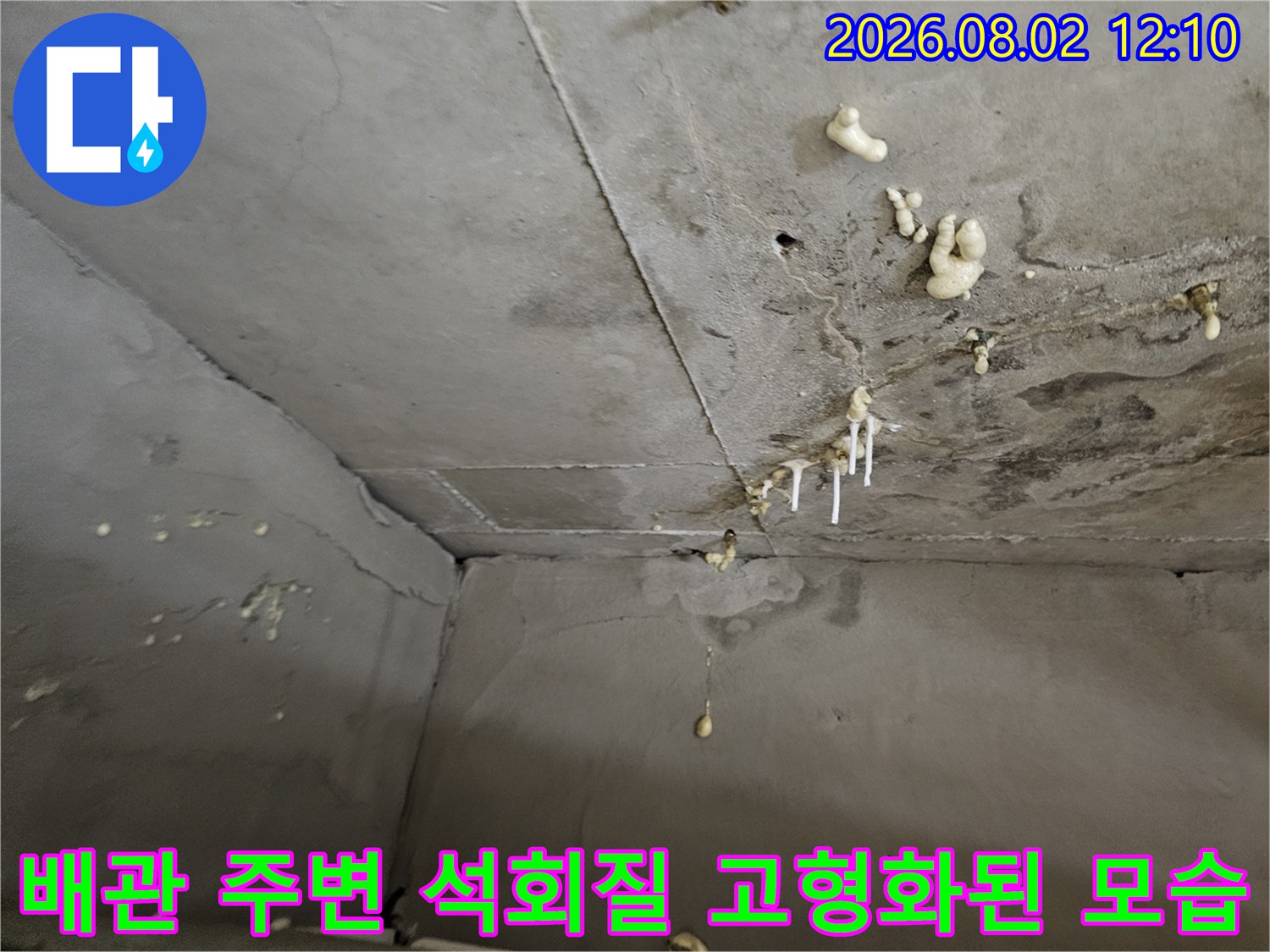 천장 콘크리트에 형성된 백색 석회체와 배관 연결부의 노출 상태