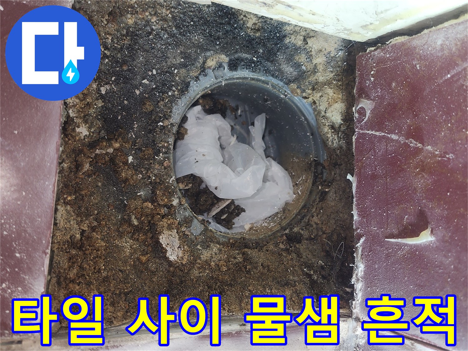 누수-진단-중인-욕실-배수구-주변-부위