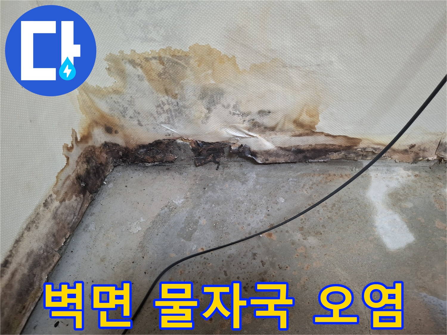 심하게 젖은-천장과 벽면의 경계 부위