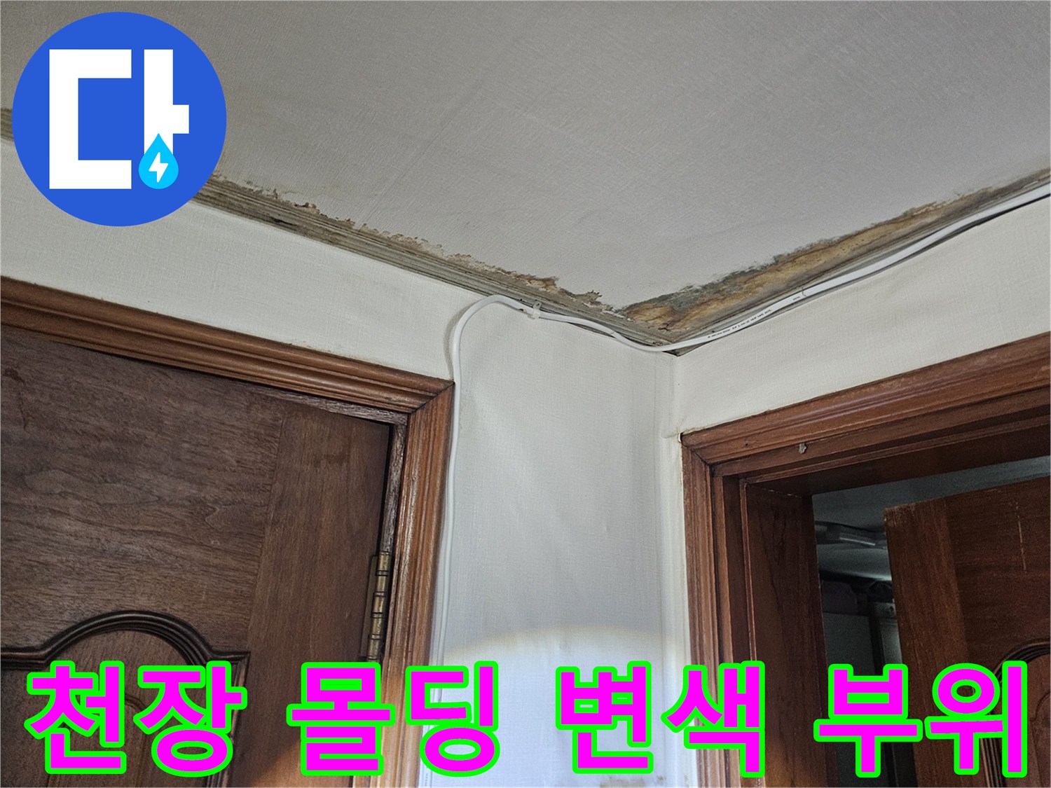 천장과 벽면 경계의 젖은 얼룩 - 누수 지점 탐지 현장