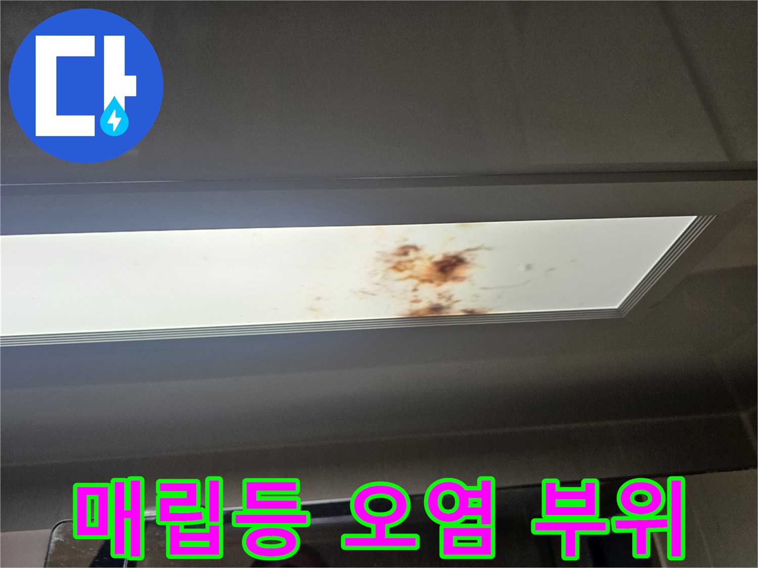 천장-조명판-부근의-누수-흔적과-습기-오염