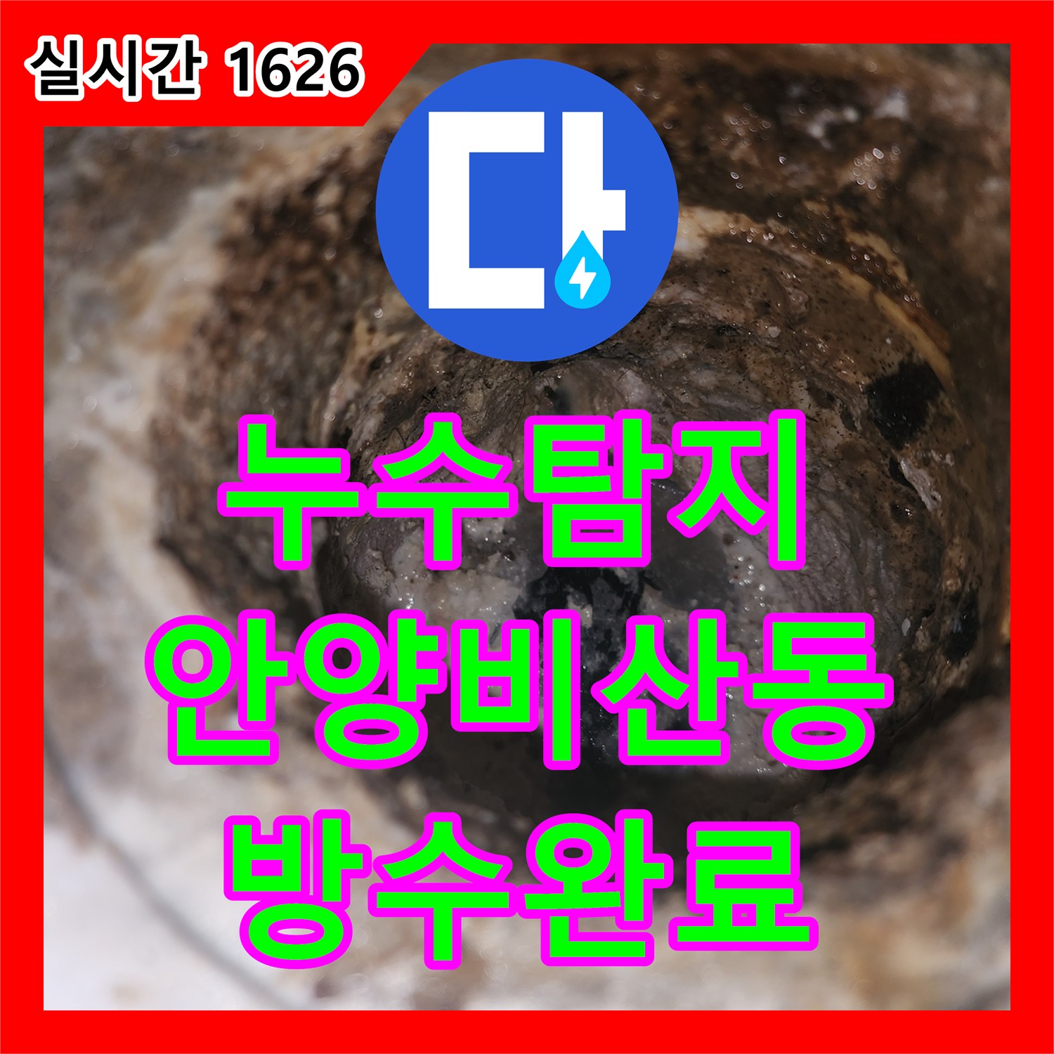 누수탐지비용 걱정 없는 정밀 진단으로 화장실 천장 누수를 잡은 경기 안양시 동안구 비산동