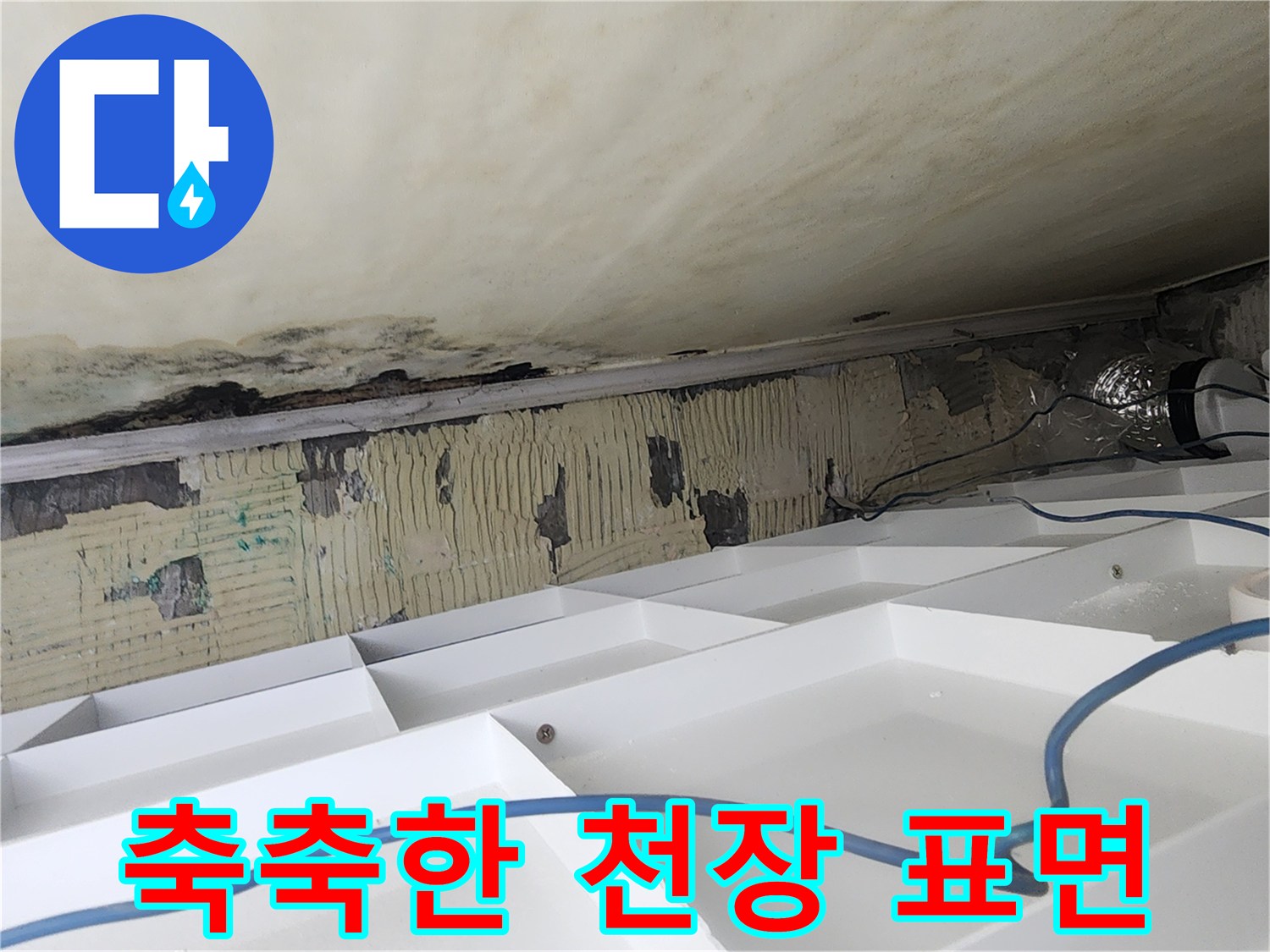 습기로 인해 젖어 있고 곰팡이가 핀 천장 내부 모습