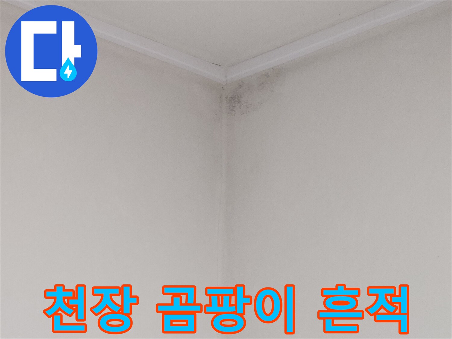 안양 비산동 아파트 천장 구석의 곰양 및 물자국 현황