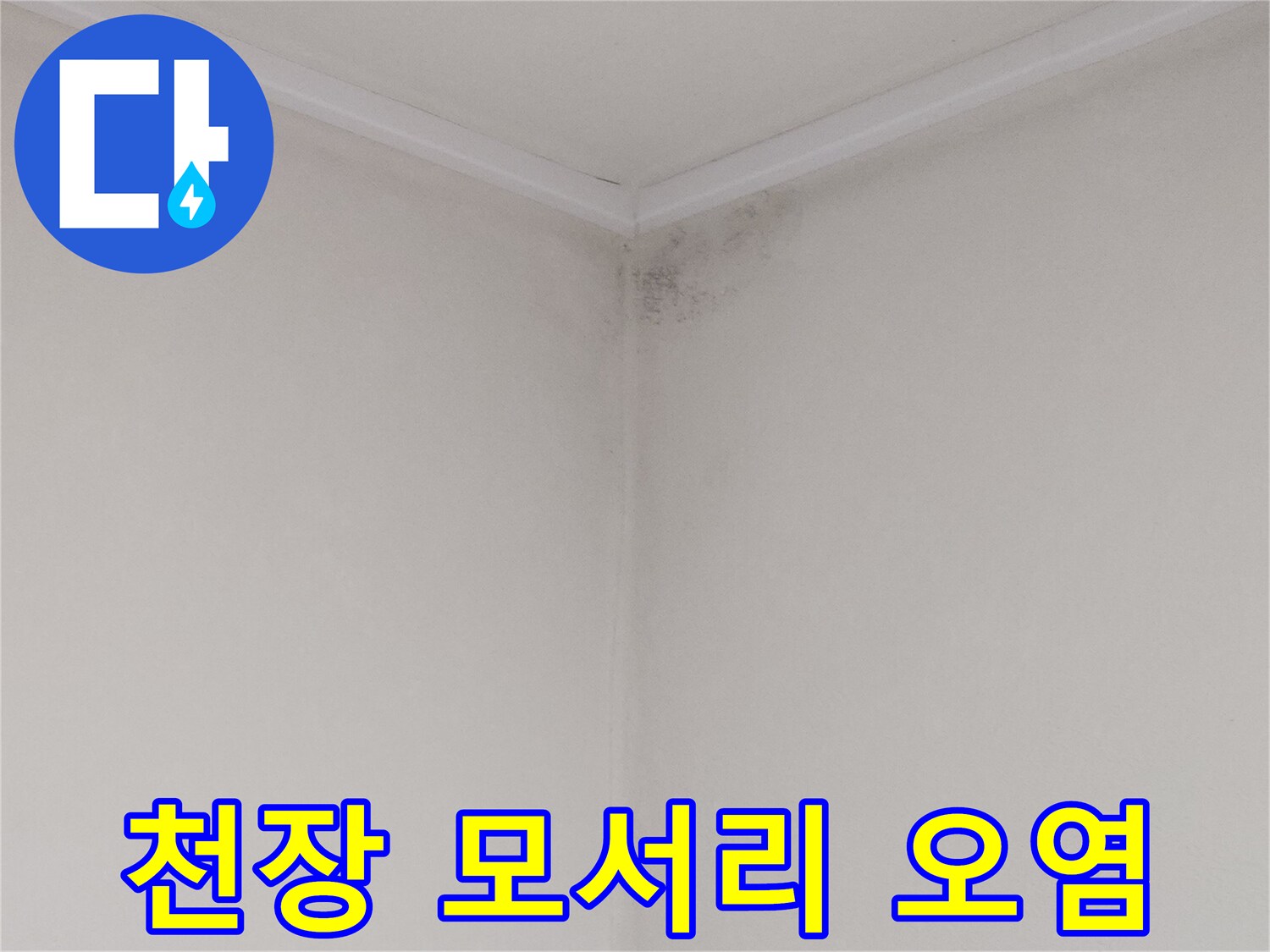 천장과 벽면이 만나는 경계 부위의 누수 피해 및 곰팡이 발생