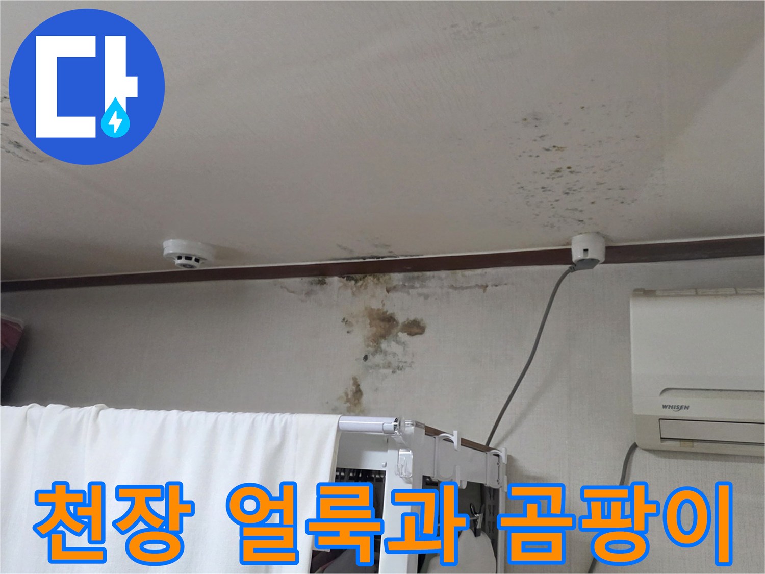 분당 구미동 아파트-천장 얼룩 및 벽면 곰팡이 발생 상태