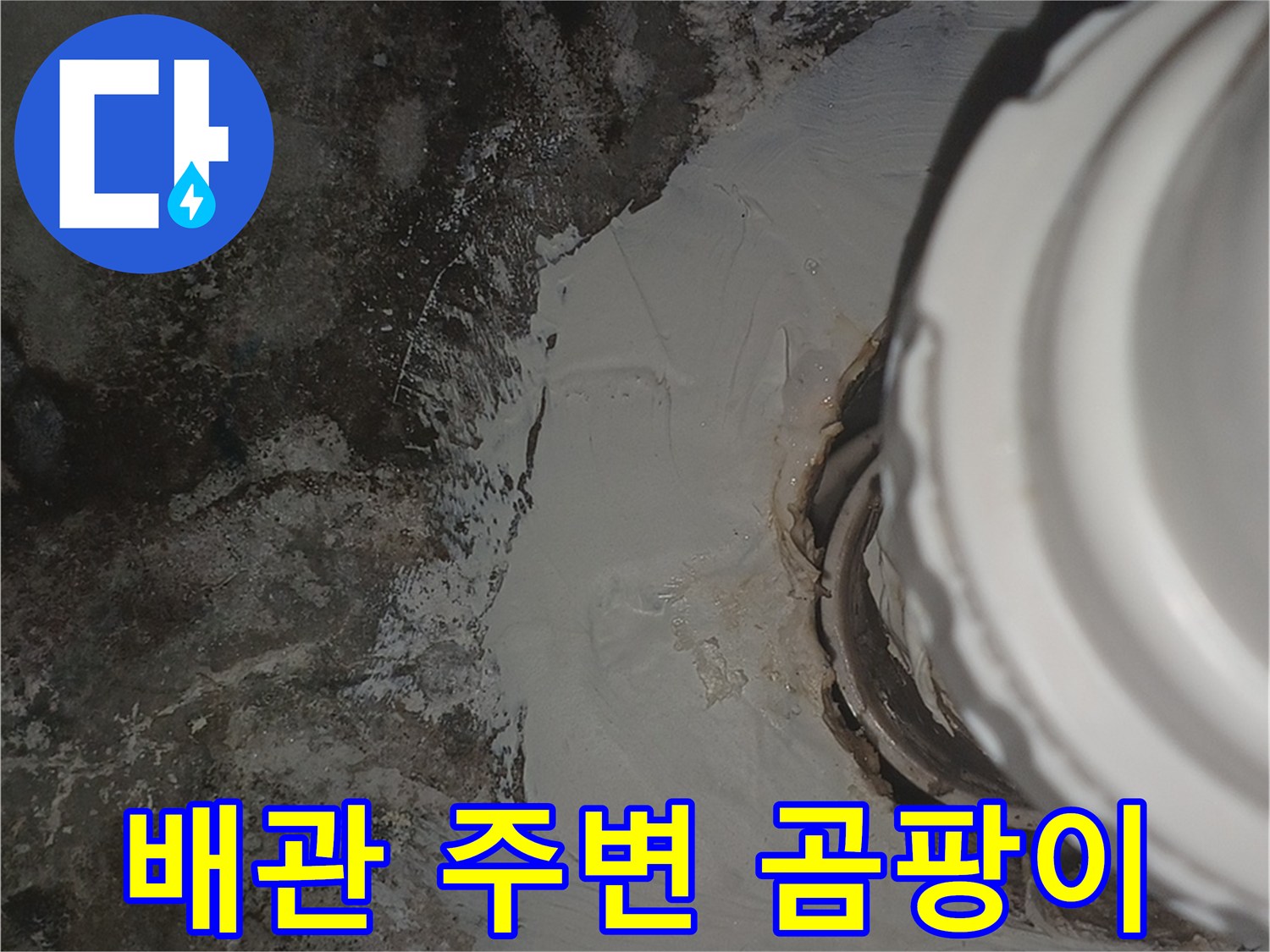 배관-연결부위-주변의-습기로-진한-곰팡이가-발생한-모습