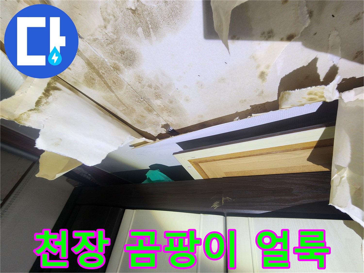 중랑구 면목동 현장-거실 천장 곰팡이와 물자국 상태
