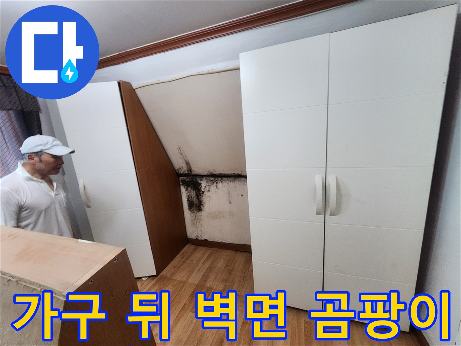 중랑구 면목동 현장-벽면 하단에 퍼진 검은 곰팡이 얼룩