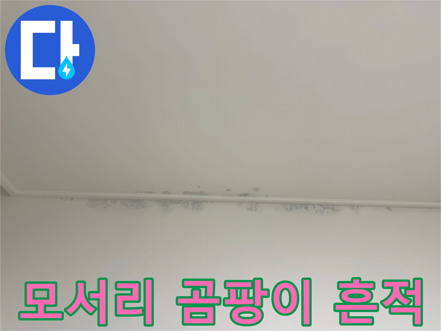 천장과 벽면 사이-곰팡이가 발생한-모서리 부위