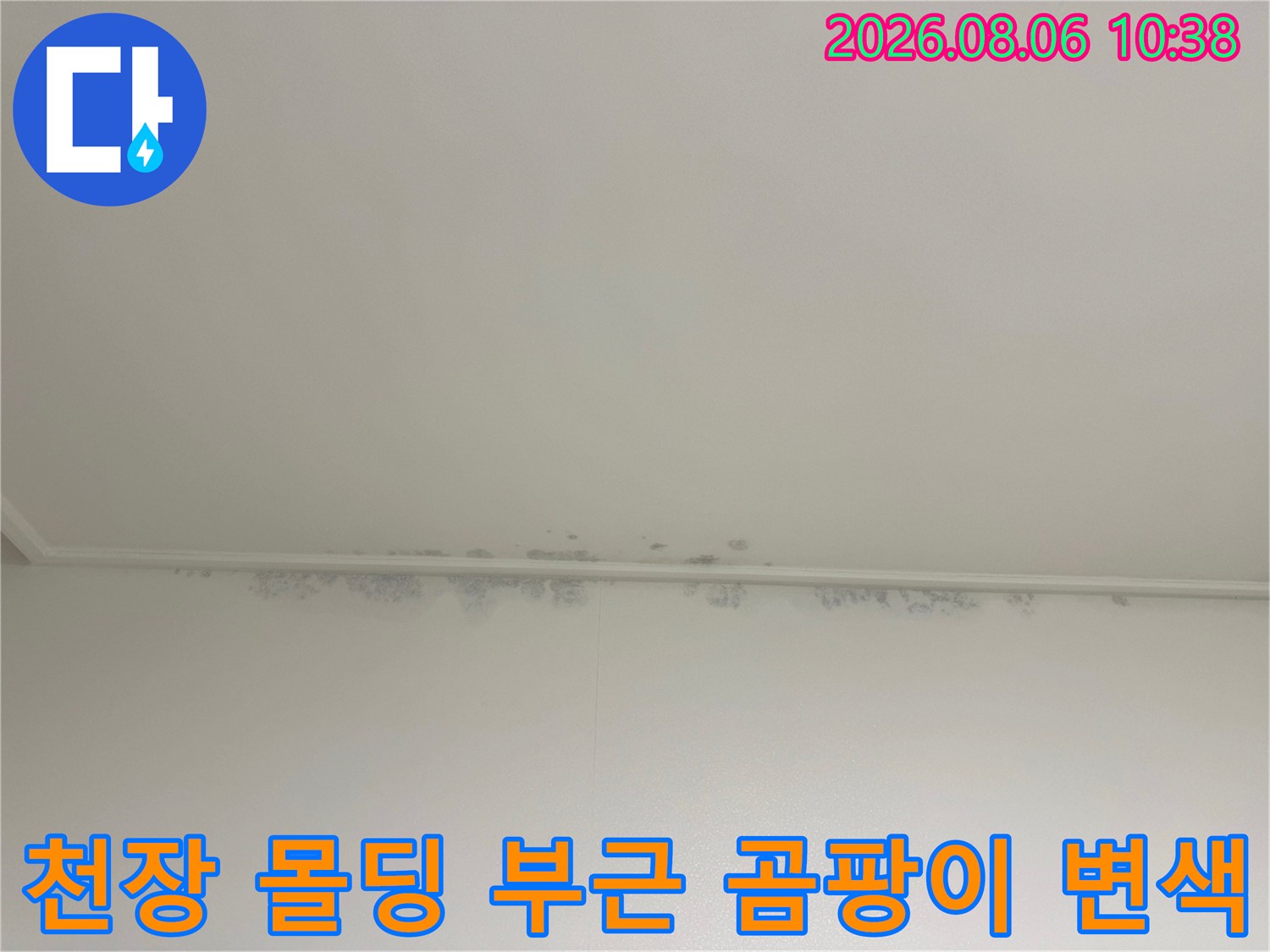 천장의-구석-몰딩-부위에-발생한-회갈색의-누수-얼룩과-곰팡이