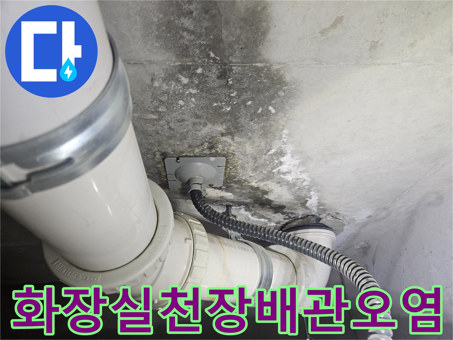 덕양구-화장실-천장-배관-주변의-곰팡이와-물자국-상태