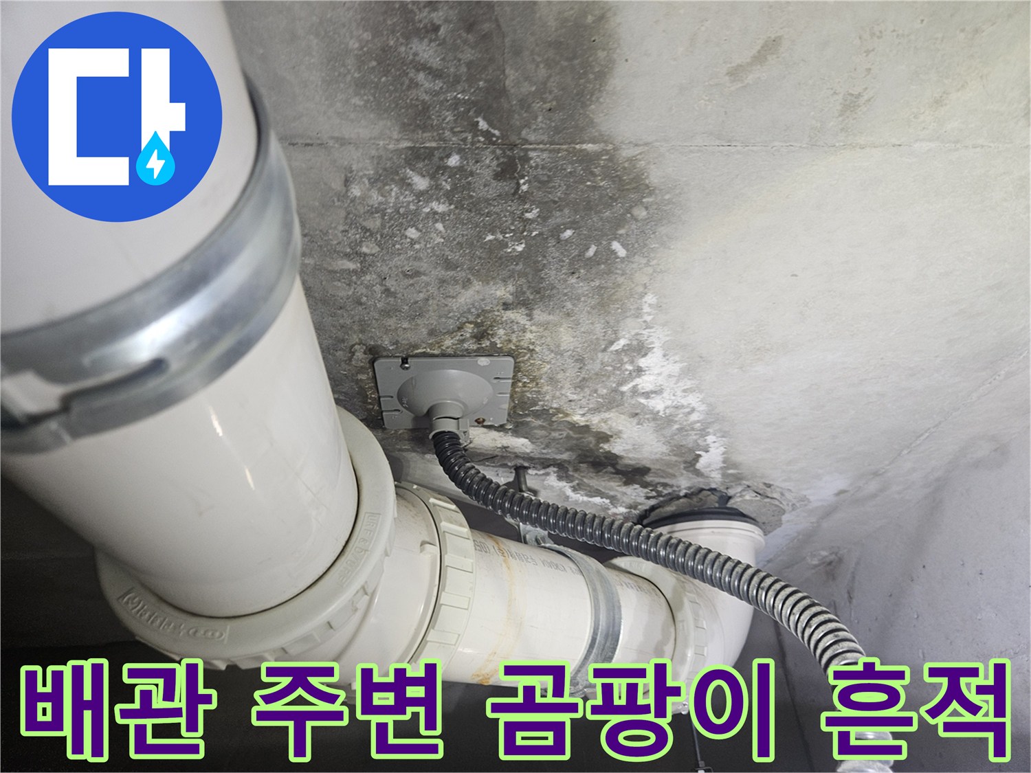 배관-연결부-주위의-심한-곰팡이와-물자국