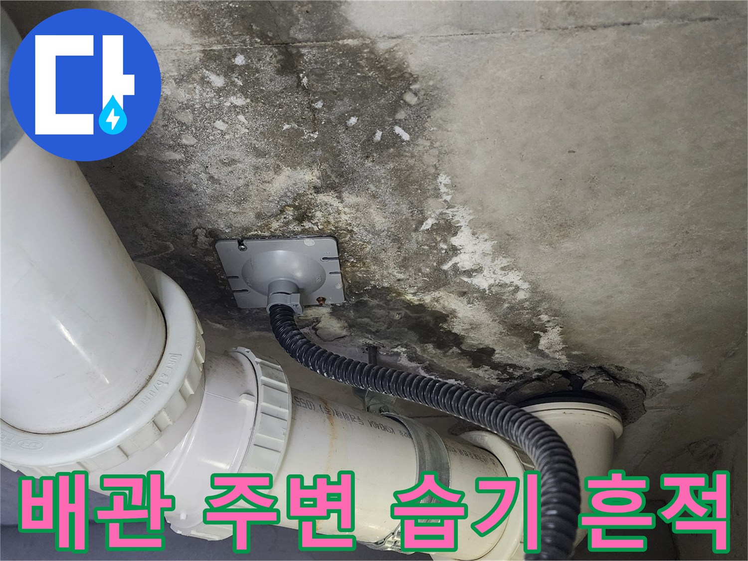 욕실-천장-슬라브-콘크리트-배관-주변-습기-및-오염-사진