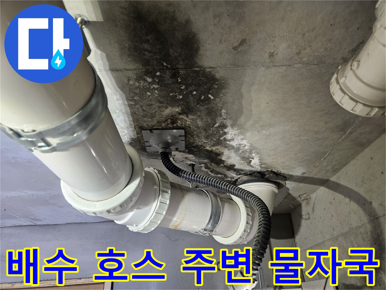 천장-배수-호스와-연결부-주변의-젖은-흔적-및-오염