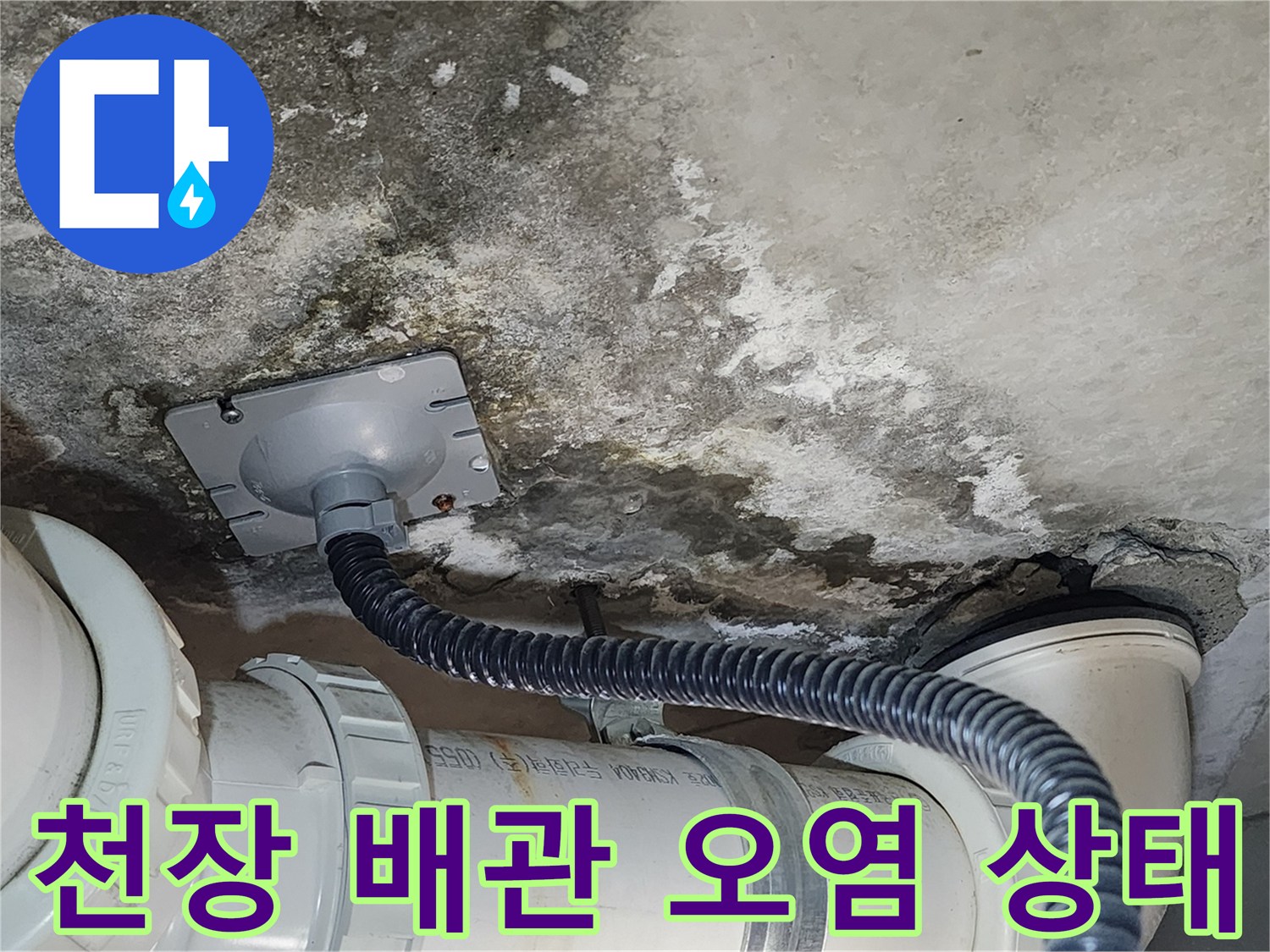 화장실 천장 슬라브-배관 주변의 곰팡이와 물자국 현상