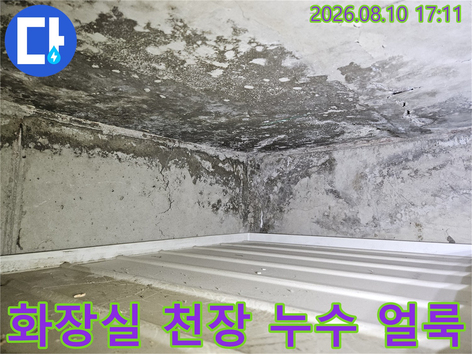 고양 일산동구 아파트 화장실 천장재 사이의 심한 물자국과 곰팡이 흔적
