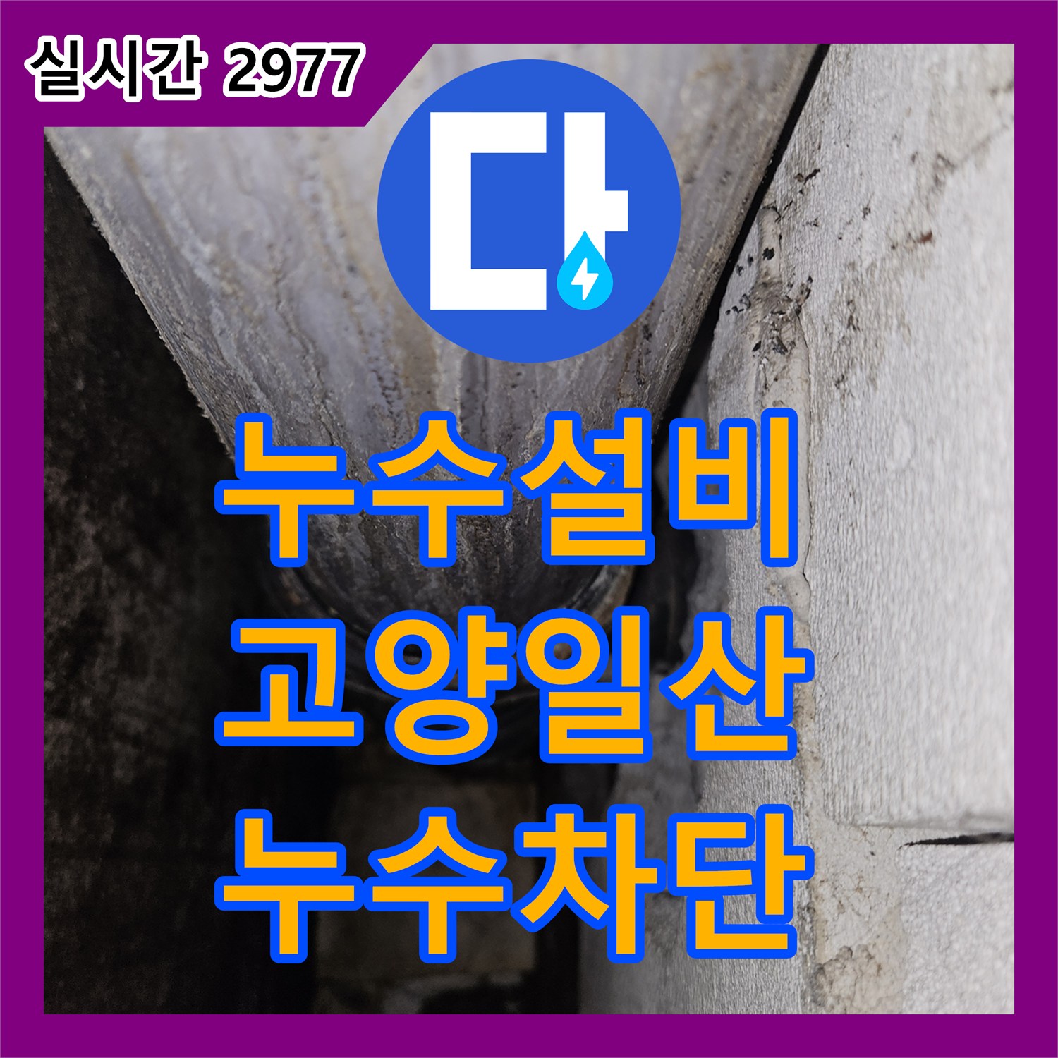 누수설비 화장실 배관 마감 불량과 방수층 손상을 정밀하게 보수한 사례입니다 경기도 고양시 일산동구 백석동
