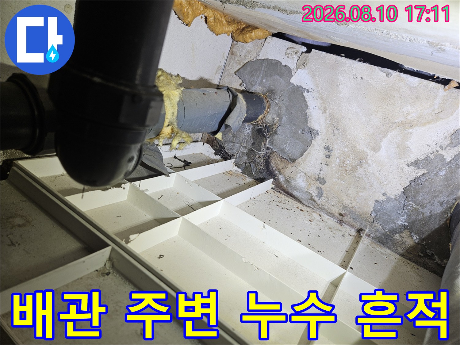 일산동구 화장실 천장 배관 주변의 젖은 얼룩과 결함 상태를 보여주는 사진입니다.