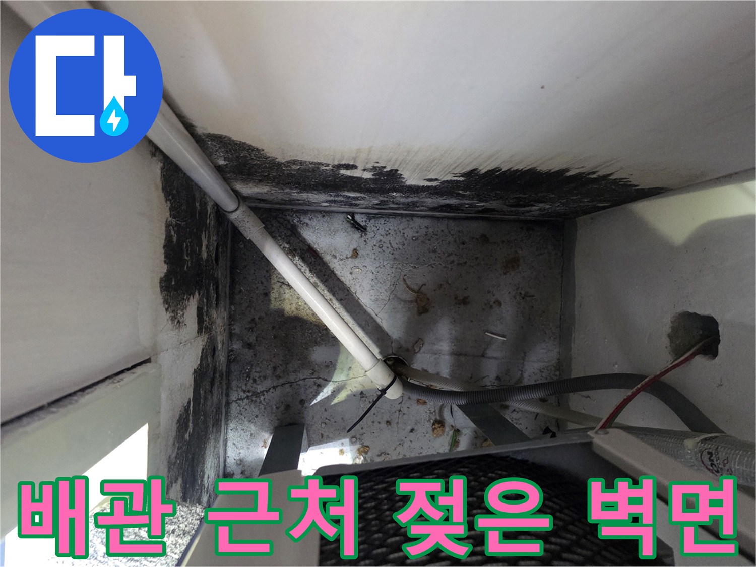 보일러실 배관 주변의 습기로 인한 검은 곰팡이와 변색 부위