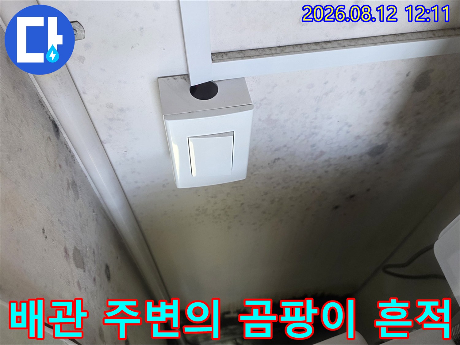 보일러실 벽면 스위치 부근-곰팡이 및 오염 상태