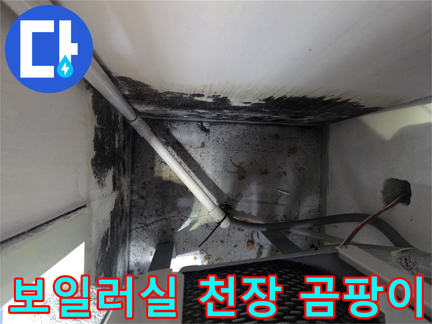 인천 운서동-보일러실 상단 벽면의 곰팡이와 습기 흔적