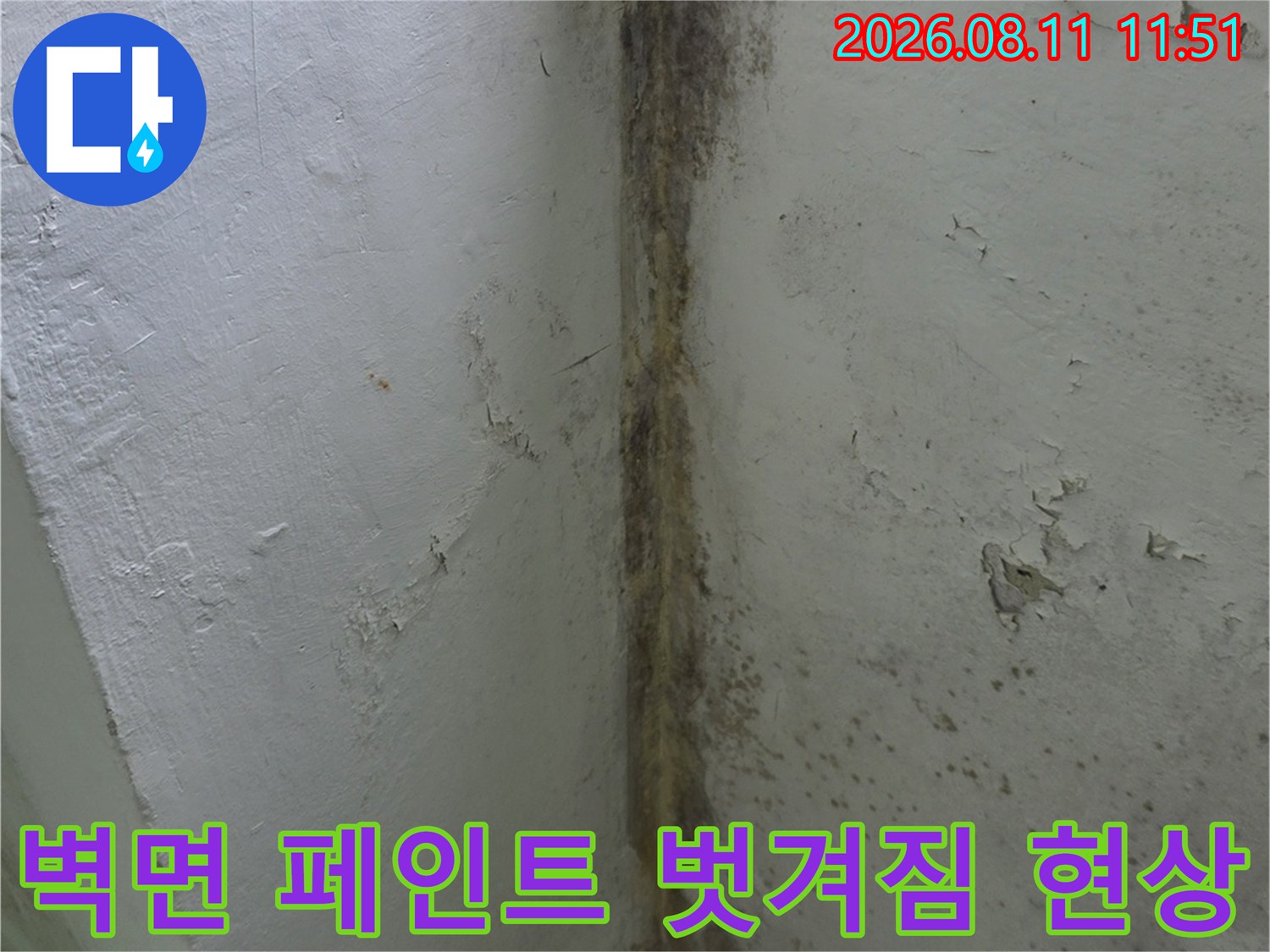 습기로 인해 부풀어 오른 베란다 벽면-천장 경계부의 심한 곰팡이와 박리 상태