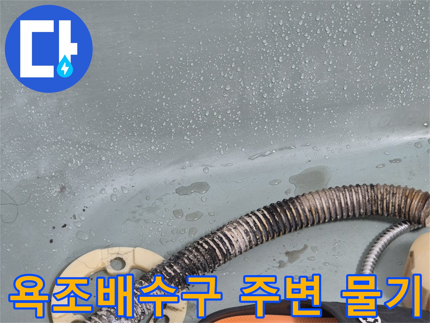 욕조-배수관-주변의-습기와-물기가-맺혀있는-상태