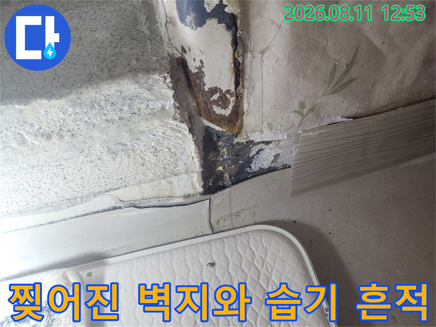 습기로 인해 찢어지고 오염된 벽면 상세 사진