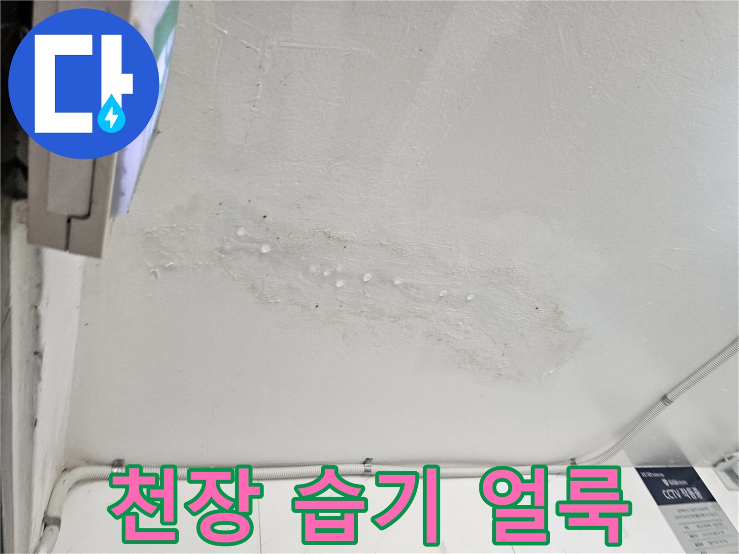 습기로 인해 변색된 천장 마감재 부위