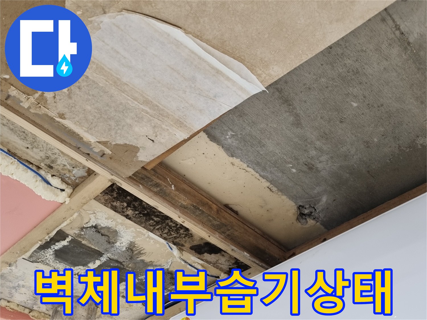 뜯어낸-벽체-내부의-젖은-단열재와-곰팡이