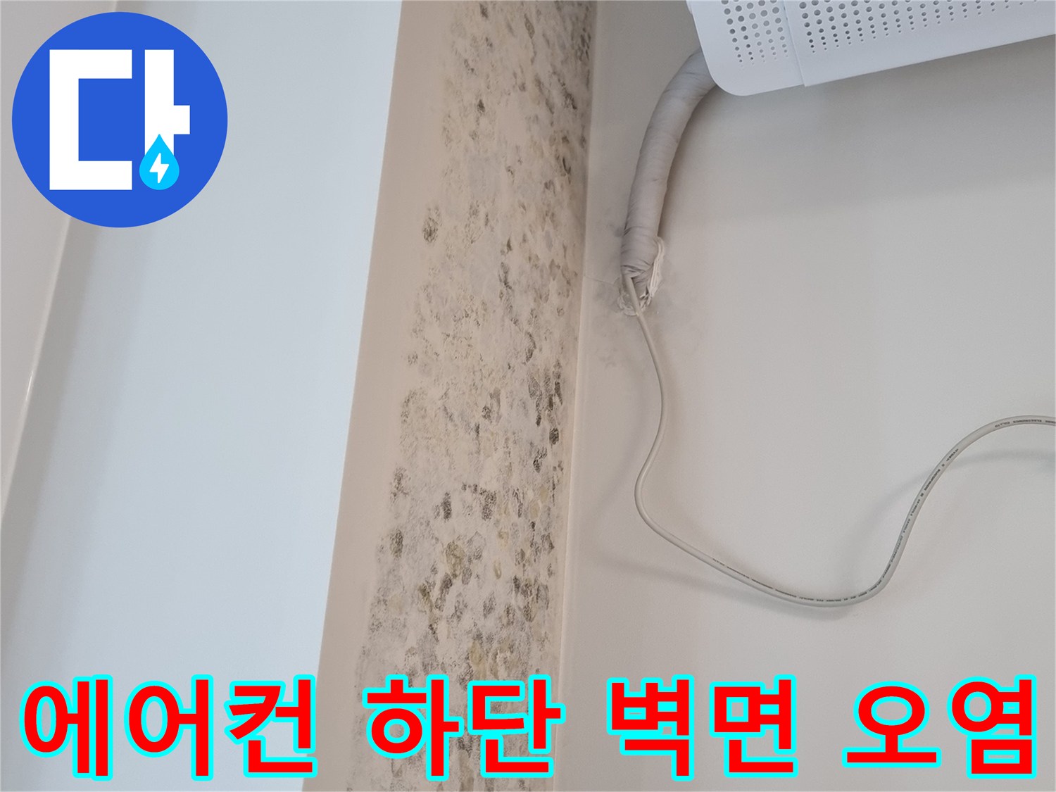 배관-연결-부근의-습기-및-곰팡이-발생-상태-사진